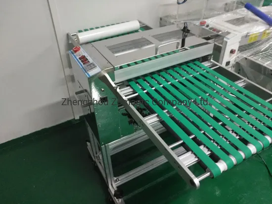 Sheet-Fed Electrostatic Remover Dust Cleaner Collector Machine with Adhasive Sticker Roller