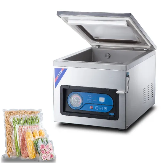 Vacuum Sealing Machine Vacuum Packaging Machine for Meat (DZ-280)