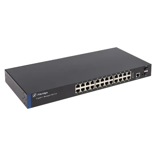24-Port Gigabit Ethernet and 2 Giga SFP OEM Network Ethernet Managed Switch Network