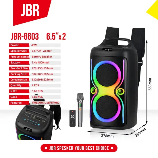 Jbr-6603 Dual 6.5 "Portable Bluetooth Speakers with LED Lights Factory OEM