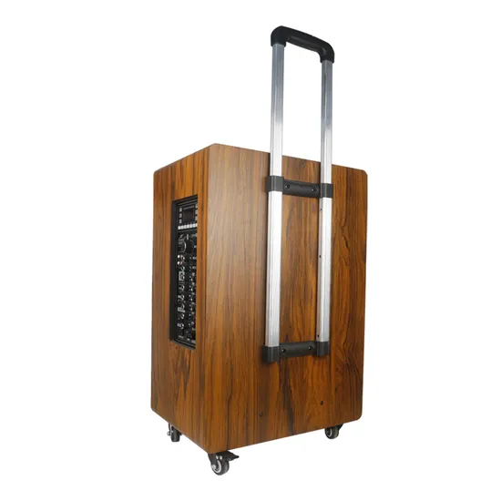 15inc High Power 100W Outdoor Wooden Pull Rod Speaker USB Audio Speakers with FM Bt TF Card