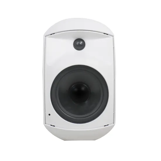 Hot Sell 60W 8 Ohms 100V PA Wall Mount Speaker Indoor/Outdoor Waterproof Wall Mount Speaker
