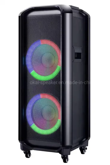 Stock OEM New 10inch Active Battery Trolley Wireless Bluetooth Audio Speaker Outdoor Portable MP3 Speaker PA Sound Box