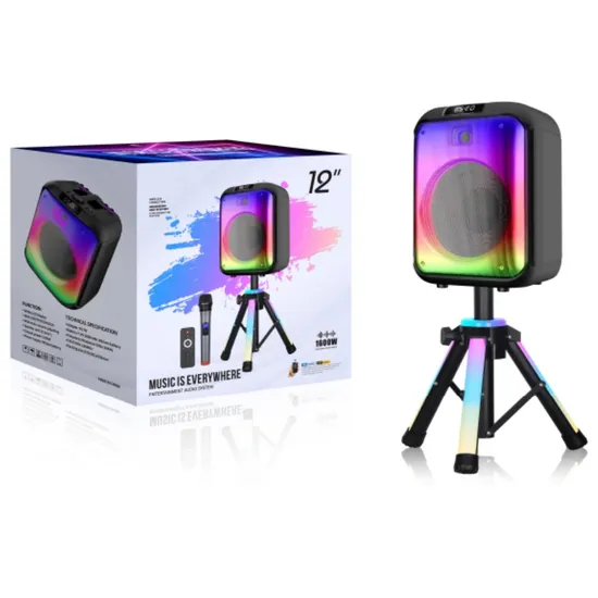 Ndr12 Inch PRO Portable Trolley Wireless Bluetooth DJ Karaoke Party Speaker with Stand