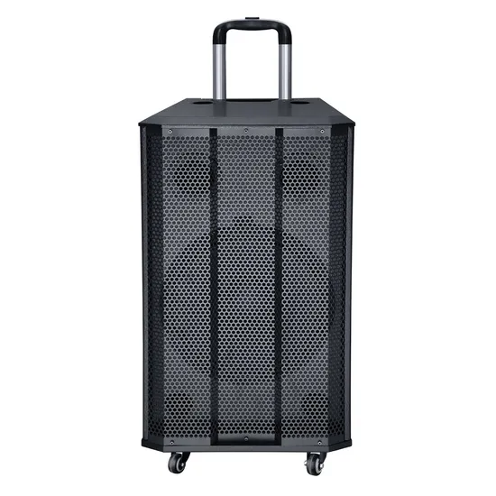 Factory Price Active 10 Inch Outdoor Rechargeable Portable Speaker with One Wireless Microphone