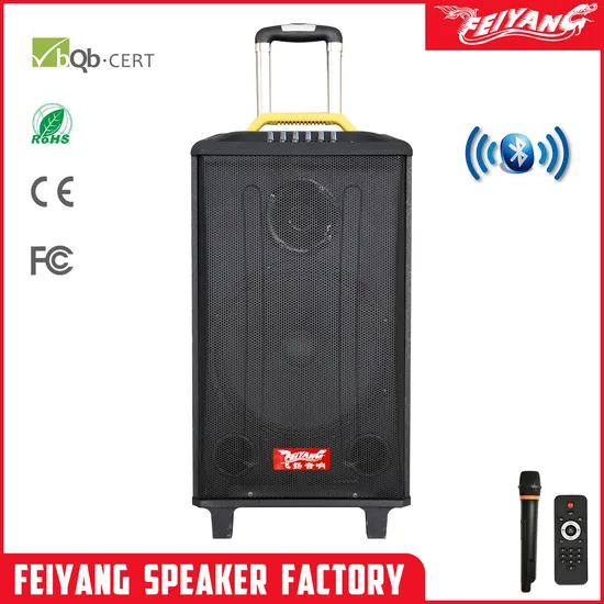 Feiyang Temeisheng Bluetooth Trolley Wooden Speaker Qx-1214