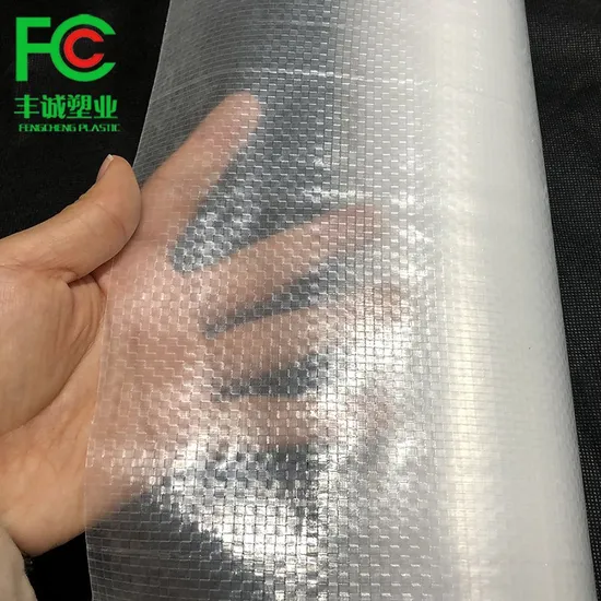 China Super Strength 200 Micron Woven Reinforced Agricultural Greenhouse Film Manufacturer for USA