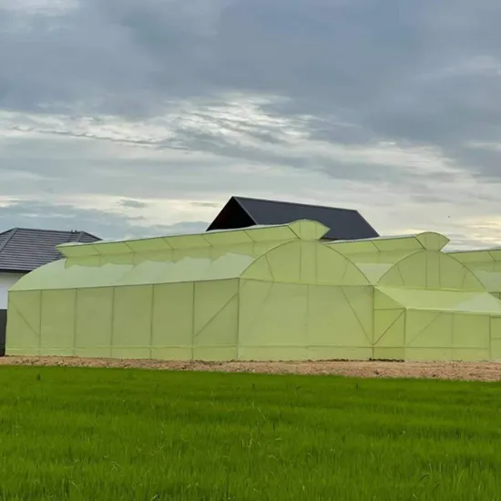 5 Year 200micron 8mil Solar Greenhouse Film for Agricultural Film Plastic Film for Greenhouse Sun Select UV Block