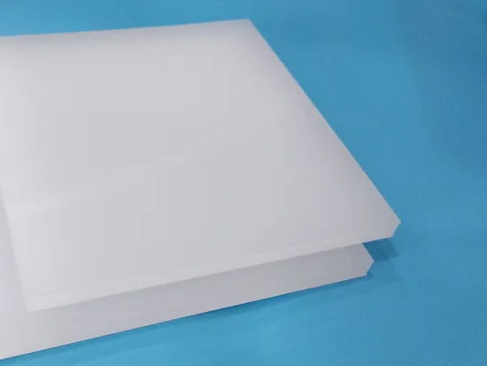 High Performance Plastic PCTFE Sheet/PCTFE Plate/PCTFE Board Manufacturer