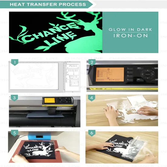 Super Fast Light Absorption Glow in Dark Pigment for DIY Htv