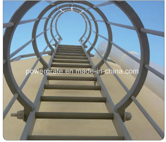 FRP/GRP Cage Ladders