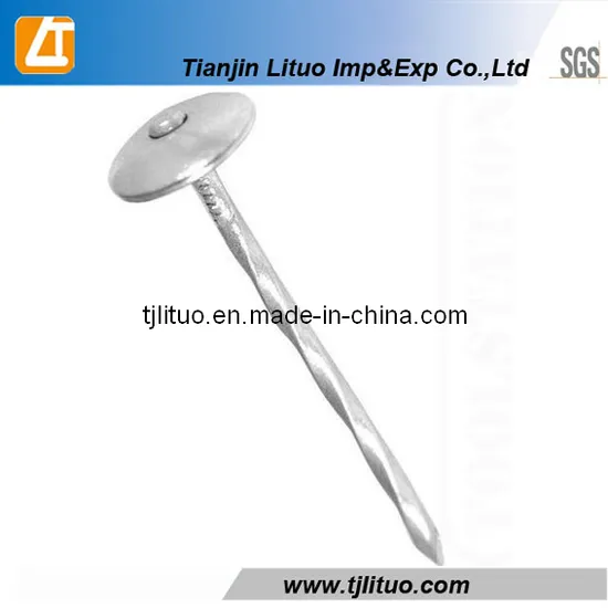High Quality Galvanized Umbrella Head Roofing Nails