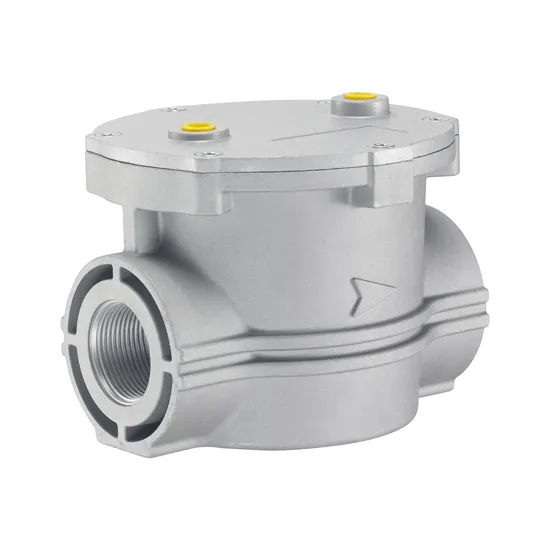 Gas Filter, Filter, Natural Gas Filter DN32/40/50 Hpf04