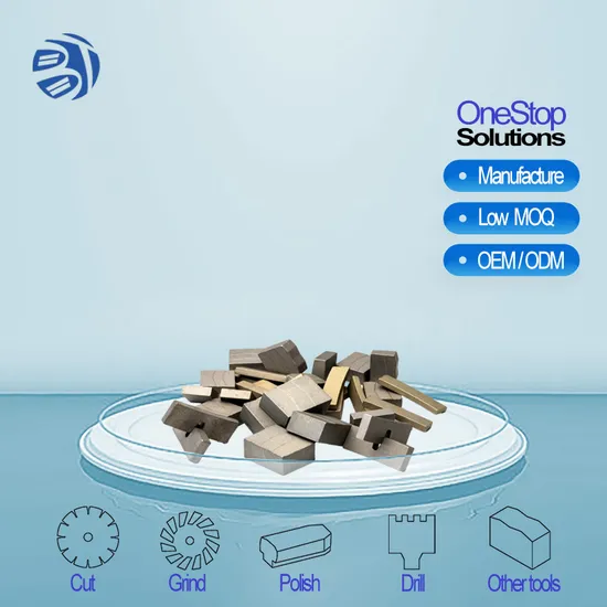 Professional Premium Customized Diamond Edge Stone Cutter Saw Blade Segment