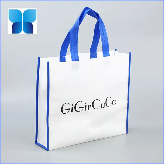 Non-Woven Bag for Clothing /Shoes /Gift