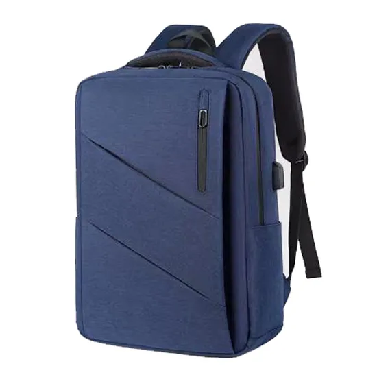 Large Capacity Laptop Backpack with USB Charging for Men Computer Gag