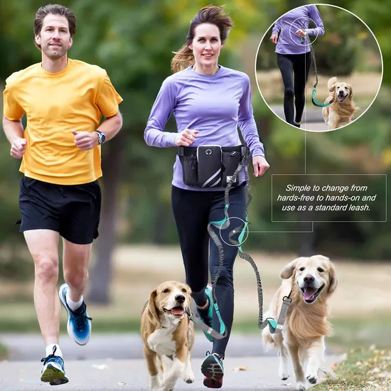 Outdoor Pet Training Waist Multifunctional Running Sports Dog Walking Leash Waist Bag