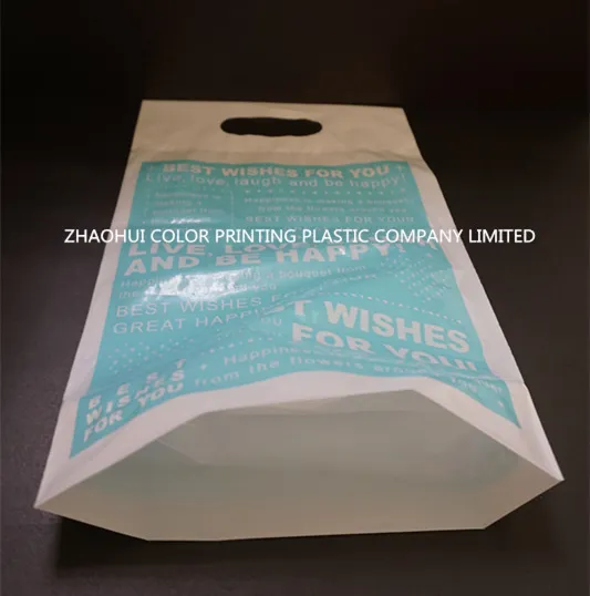 Die Cut Plastic Gift Bag