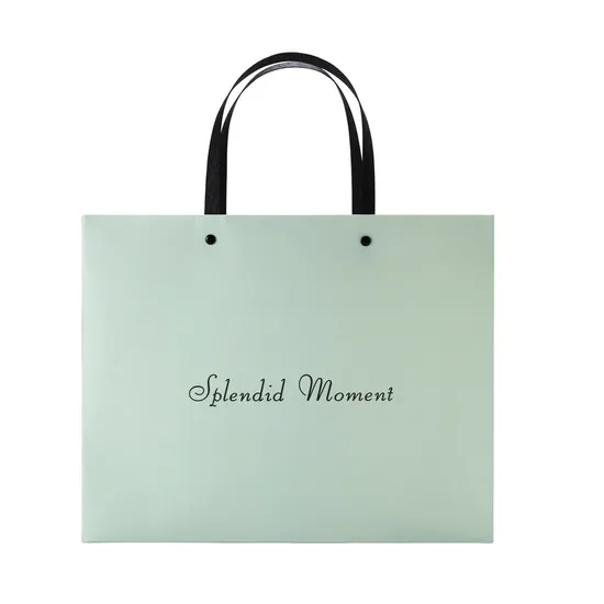 High Quality Custom Logo Gift Bags with Handle Printing Christmas Shopping Paper Bag