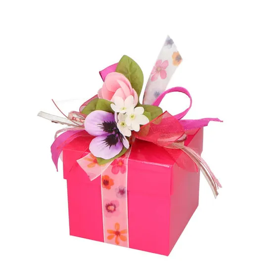 Cookie Packaging Box with Ribbon Paper Gift Box