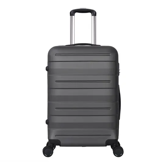 Fashion Big Capacity Travel Suitcase 12"20"24"28" Hand Trolley Luggage (XHA130)