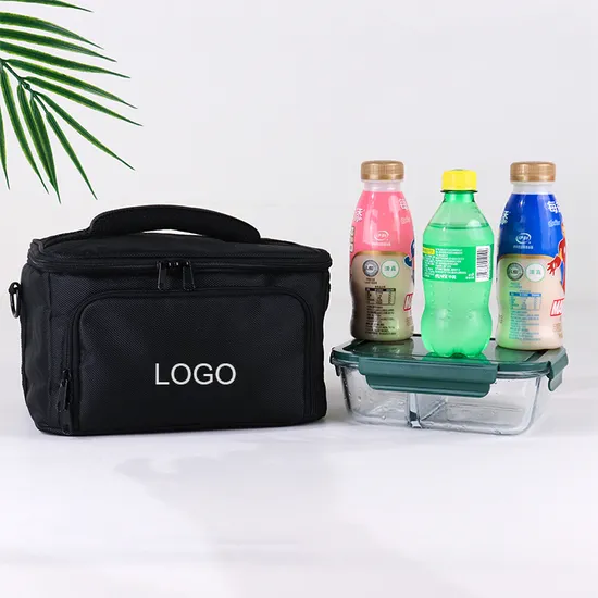 BSCI Lvmh ISO Factory Wholesale Custom Adults Insulated Kid Cooler Woman Lunch Bag