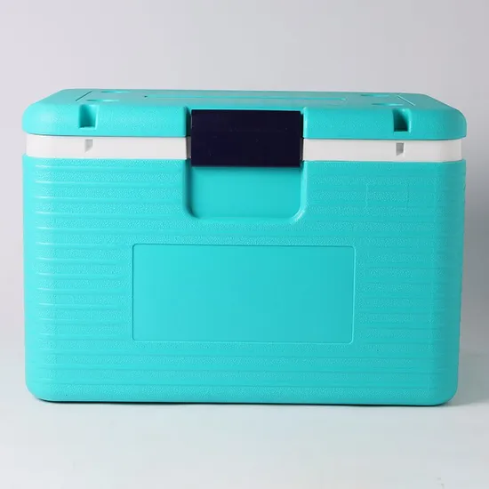Hot Selling Food Portable Injection Molding 54L Cooler Box