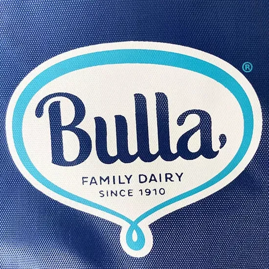 Custom Printed Kids School Lunch Delivery Box Cooler Insulated Bag Nylon Cooler Bag for Frozen Food