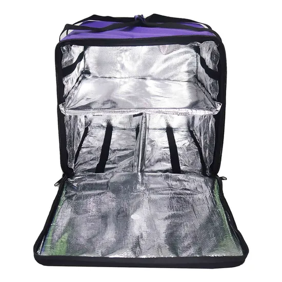 Bicycle Insulation for Hot Lunch Food Pizza Box Delivery Bag Backpack