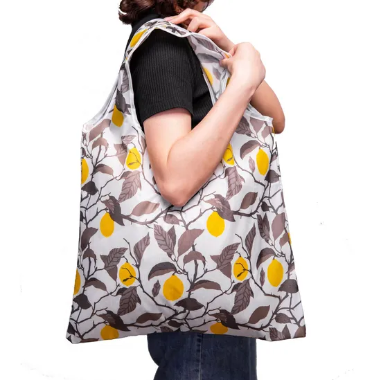Foldable Nylon Tote Bag Rg1102-02