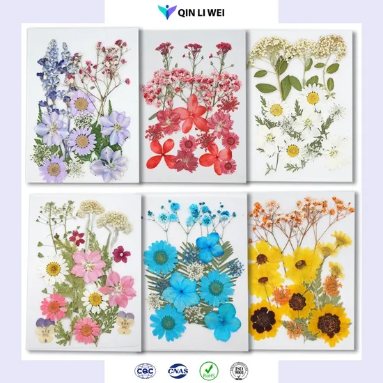 Dried Flower Arts Crafts for Holidays
