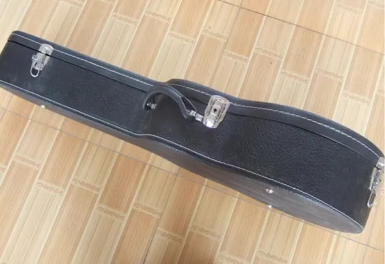 High-Quality Lp Standard/Lp Custom Electric Guitar Hard Case (ALS-119)