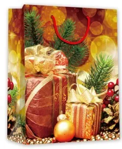 Factory Price Glossy Lamination Gift Paper Shopping Bag with Cotton Handle