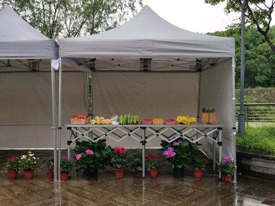 Canopy Outdoor Gazebo Trade Show Tent Pop up Instant Commercial Portable Canopy with Sidewalls for Hot Saleing