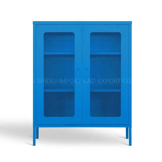 Modern Wire Mesh 2 Door Metal Storage Cabinets for Home Use