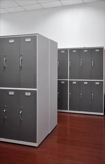 Metal Locker with 2 Doors Steel Locker Storage Locker Metal Storage Locker Gym Locker School Locker Steel Storage Locker Clothes Locker Door Locker