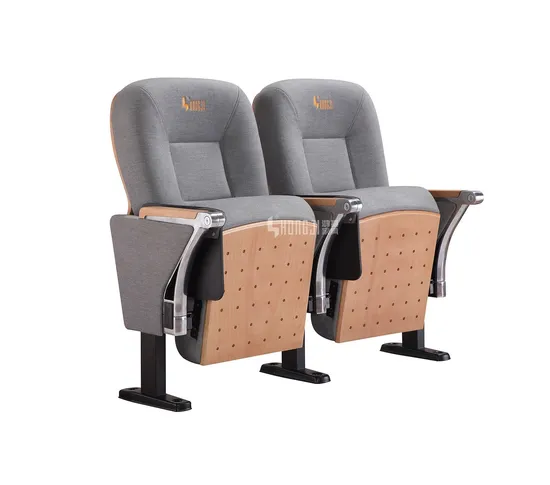 School Student Lecture Hall Conference Theater Church Cinema Auditorium Chairs