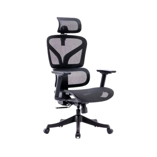 Ergomesh Multi-Function All Mesh Office Chair with Test Pass at a Budget-Friendly Price