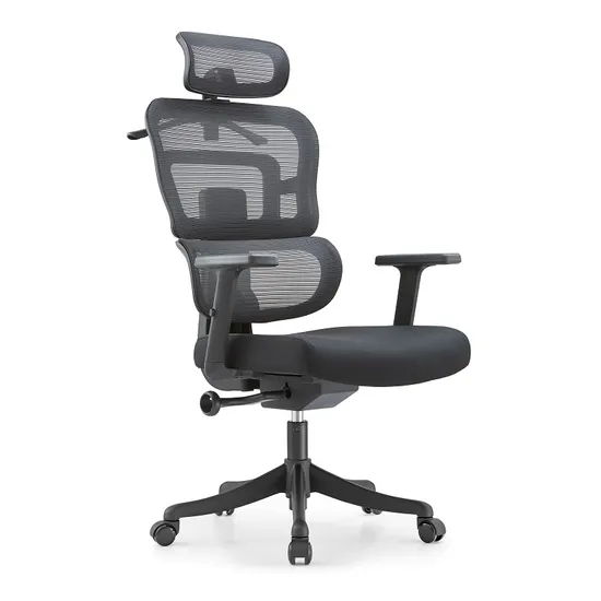 Indoor Furniture Modern Style Multi-Functional Adjustable Mesh Chairs Reclining Ergonomic Executive Black Computer Office Chair for Office Visitor