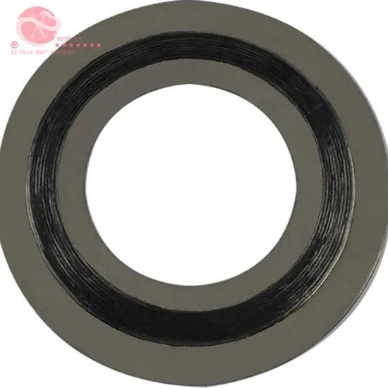 Graphite Composite Gasket Graphite Stainless Steel 304 Composite Gasket Customized