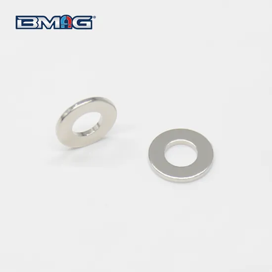 Rare Earth Flat Ring Magnet with Cheap Price