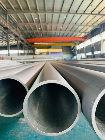 SS304 SS316 Stainless Steel Seamless Tube for Mechanical Equipment
