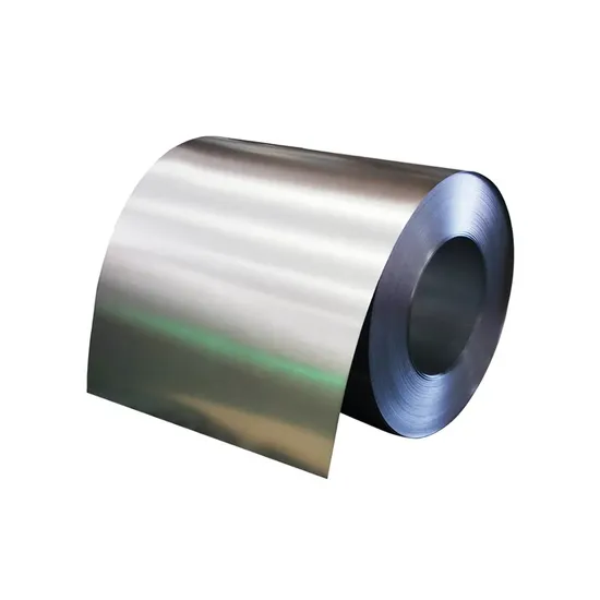 Ss Stainless Steel Coil for Boiler Container Ship Plates with ISO 304 316 0.5mm 1.0mm 1.2mm 1.5mm