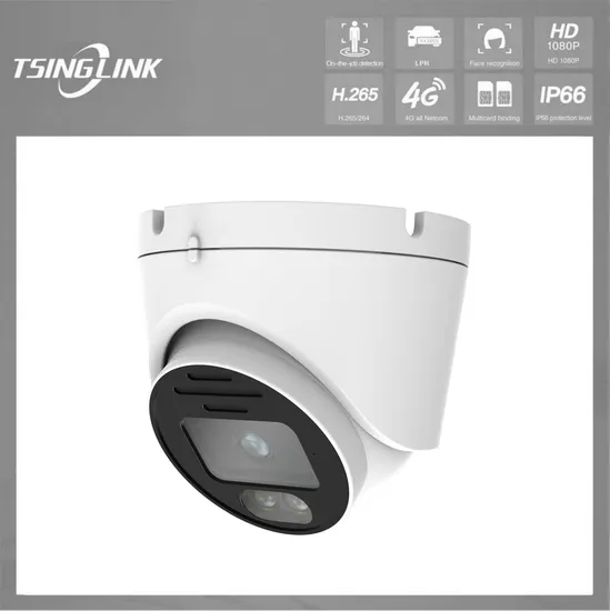 Factory Price 2.8mm Builtin Mic Speaker 5MP Intelligent Dome Hemispherical Network Camera