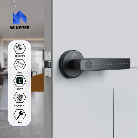 Remote Control Fingerprint Handle Latch Electronic Lock Smart Home Digital Door Lock