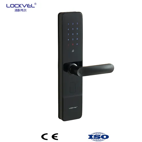 Electronic Smart Door Lock, Fingerprint Door Lock, Biometric Door Lock