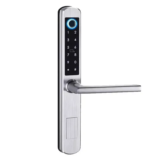Password Lock SS304 IC Card Fingerprint Silver Color China OEM Factory