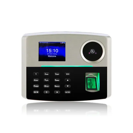 Hot Sale TCP/IP Web Based Fingerprint Employee Time Attendance (GT800)