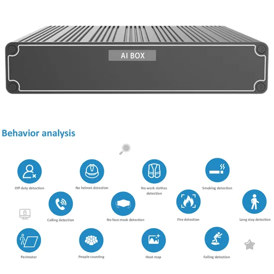 Ai Box Analysis 8-CH Computing Capabilities Fall Detection Indoor CCTV
