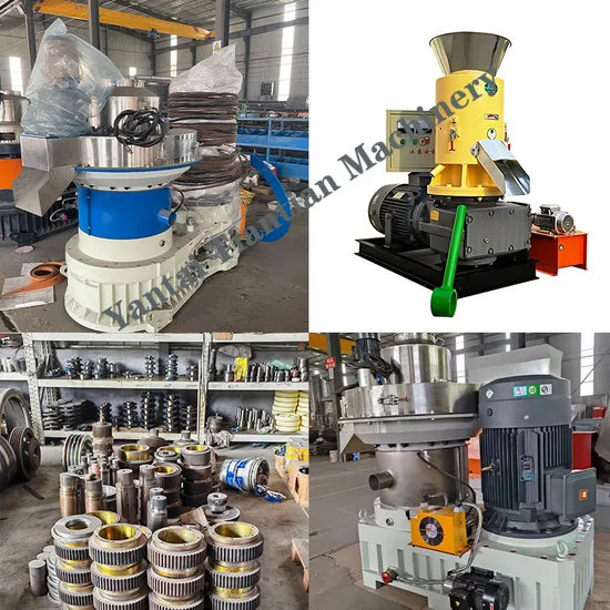 Flat and Ring Wood Pellet Mill 260-850 Sawdust Biomass Pellet Machine
